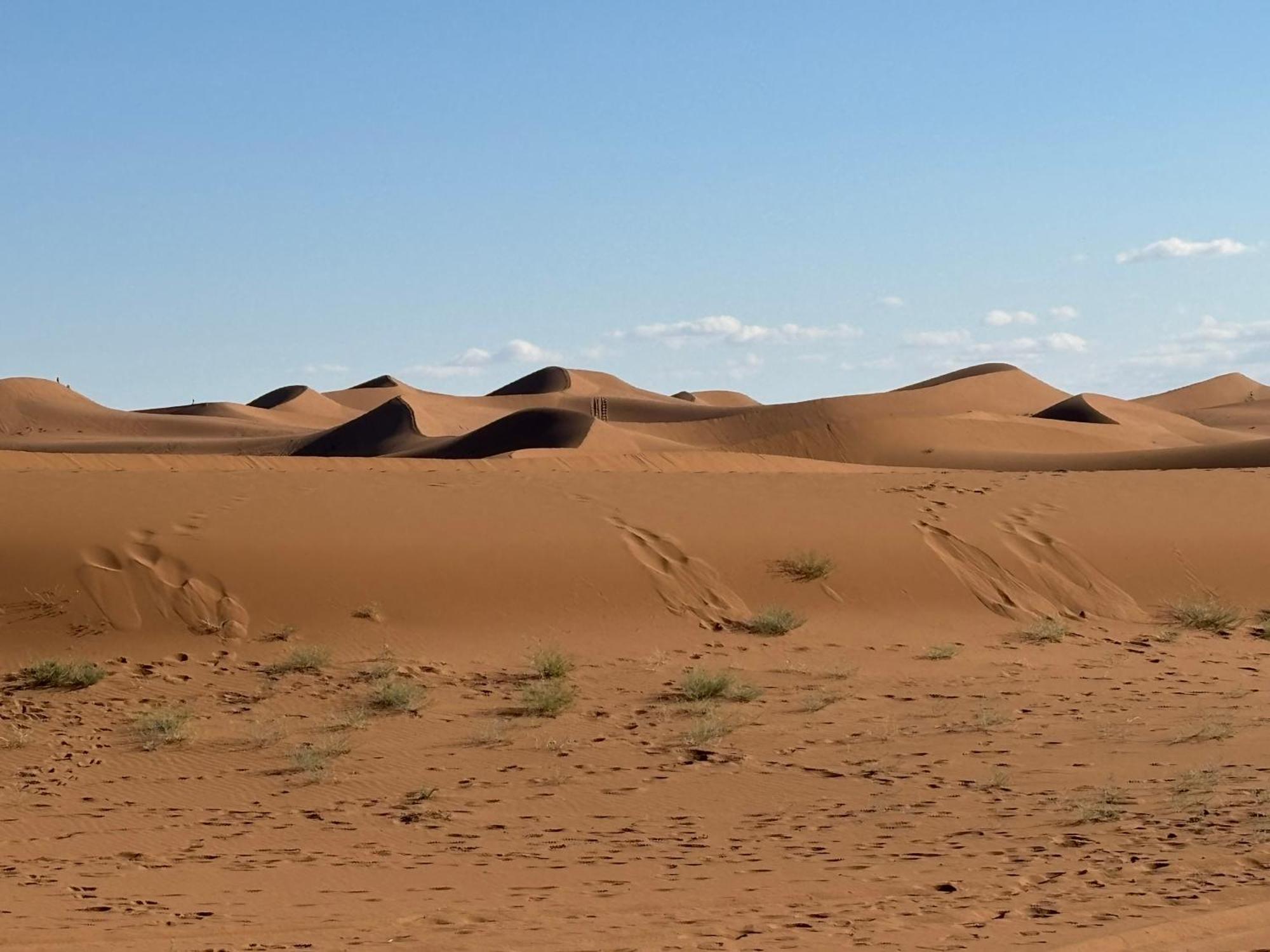 Bivouac La Dune Blanche M'Hamid Exteriör bild