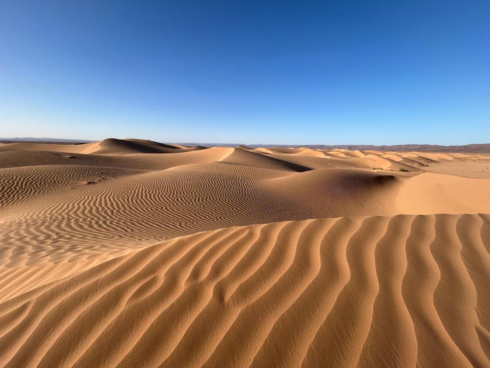 Bivouac La Dune Blanche M'Hamid Exteriör bild