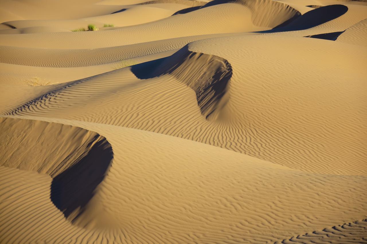 Bivouac La Dune Blanche M'Hamid Exteriör bild