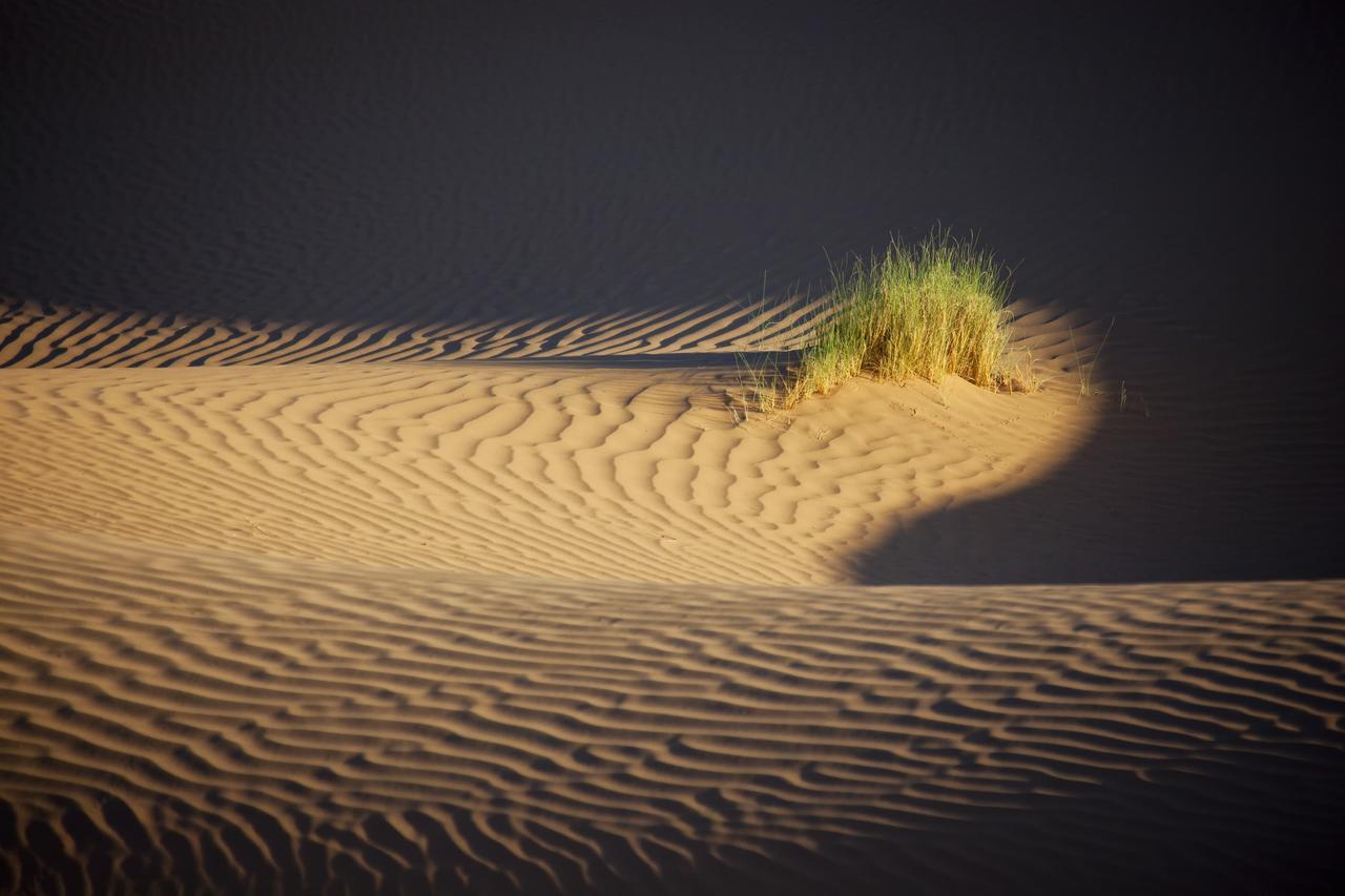 Bivouac La Dune Blanche M'Hamid Exteriör bild
